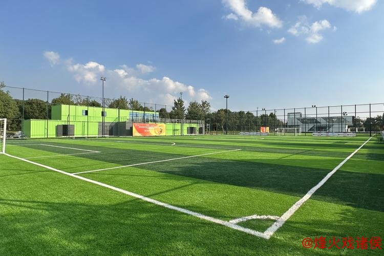 肥西打造足球特色小镇