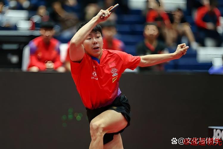 澳门冠军赛第3日国乒9将进16强 徐瑛彬3-2庄智渊 澳门冠军赛第3日国乒9将进16强 徐瑛彬3-2庄智渊